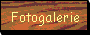 Fotogalerie